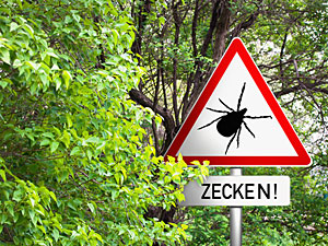 zeckenalarm